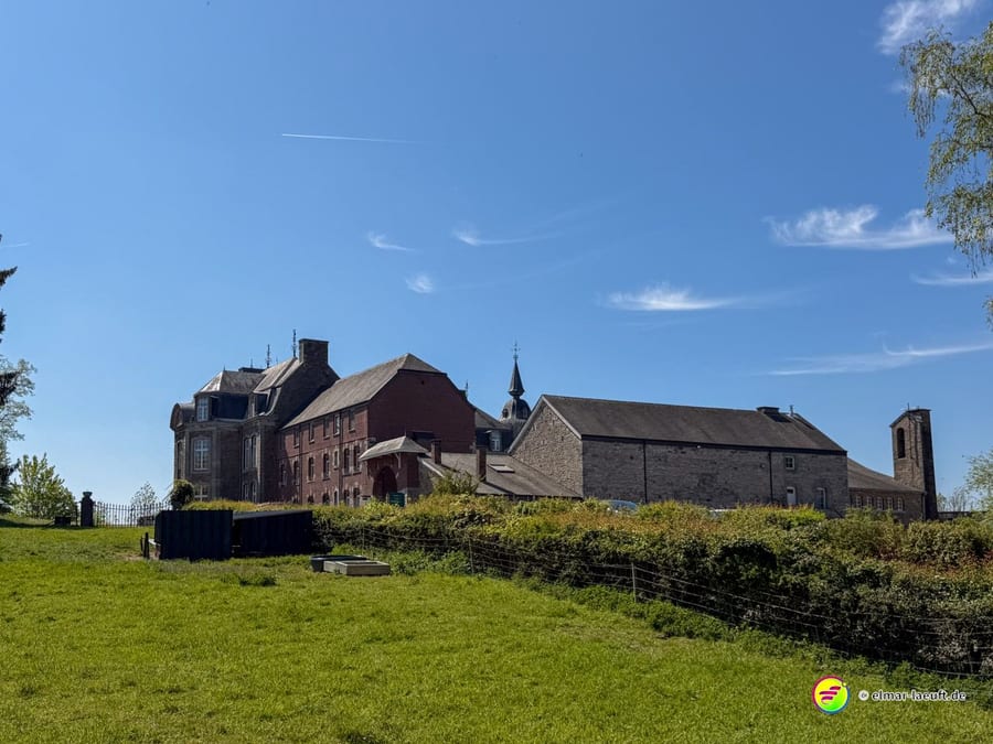 Die Klosteranlage von einer Wiese aus gesehen, dahinter Dächer und ein Kirchturm.