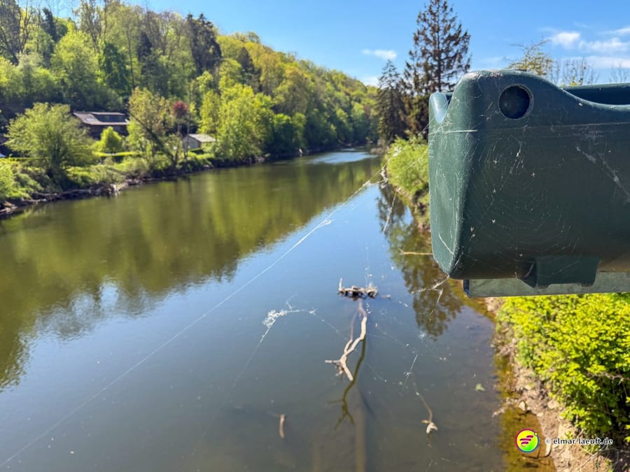 Blick über das Brückengeländer auf den Fluss, im Wasser ein Treibholzstamm.