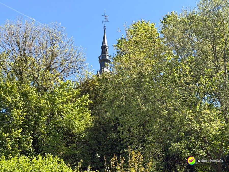 Schlanker Kirchturm mit Wetterhahn über den Baumkronen.