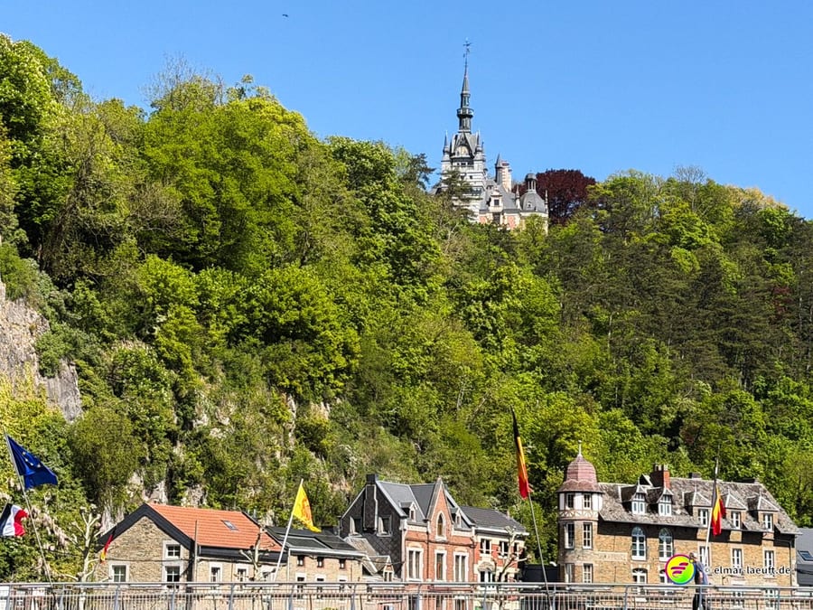 Bewaldeter Hang mit einem Schlösschen mit Turm, darunter Häuser mit Fahnen.