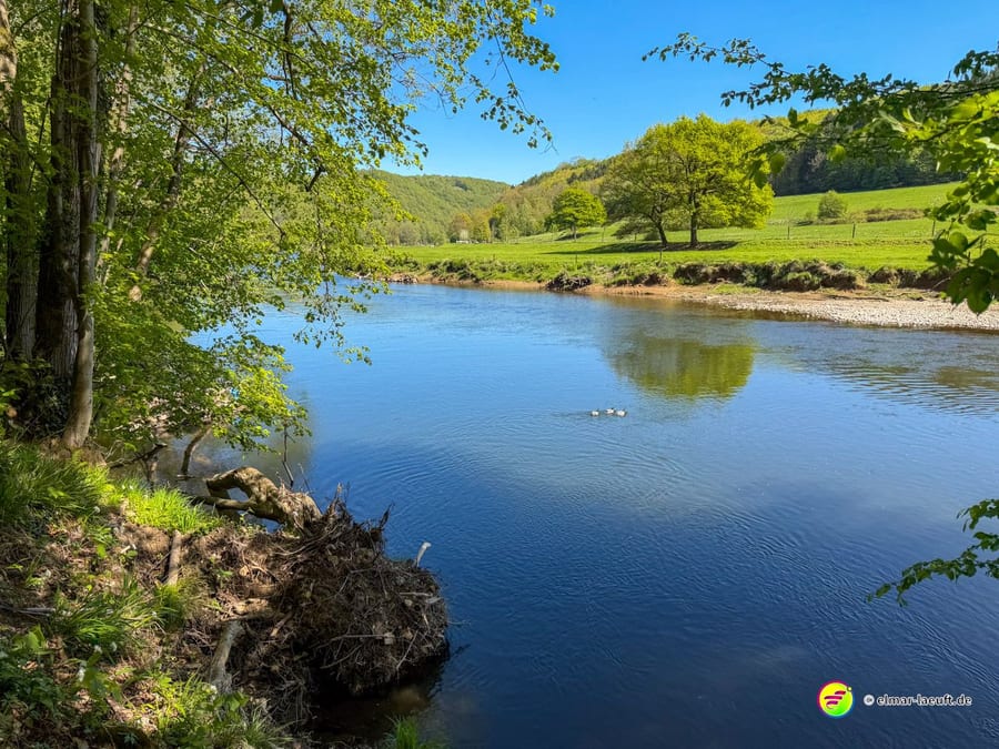 Weite Flussbiegung mit Wiese und einzelnen Bäumen am Ufer.