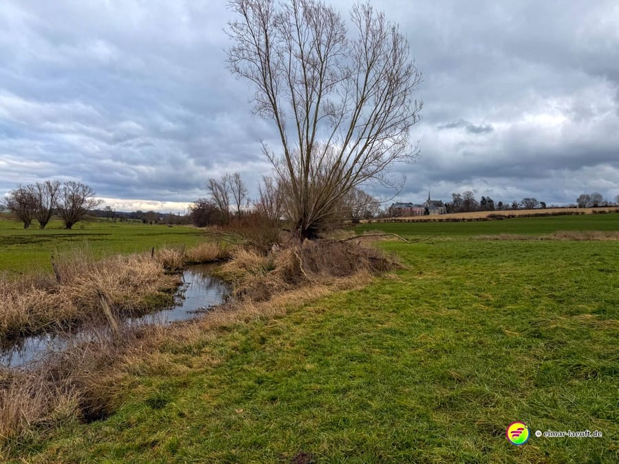 Weidelandschaft mit mäanderndem Bach und einzelnem Baum vor bewölktem Himmel. Die typische belgische Flussaue zeigt natürliche Uferbewachung und saftige Wiesen.