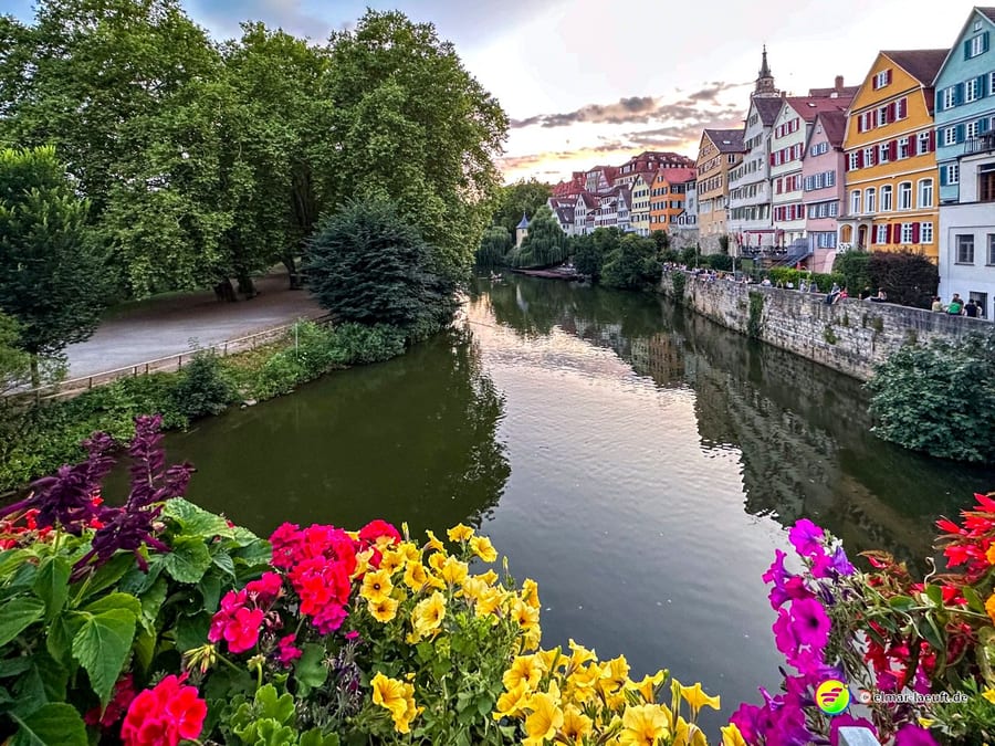 Laufen entlang eines Flusses in Tübingen mit Blick auf bunte Blumen im Vordergrund, grüne Bäume links und historische Fachwerkhäuser rechts bei ruhigem Wetter.