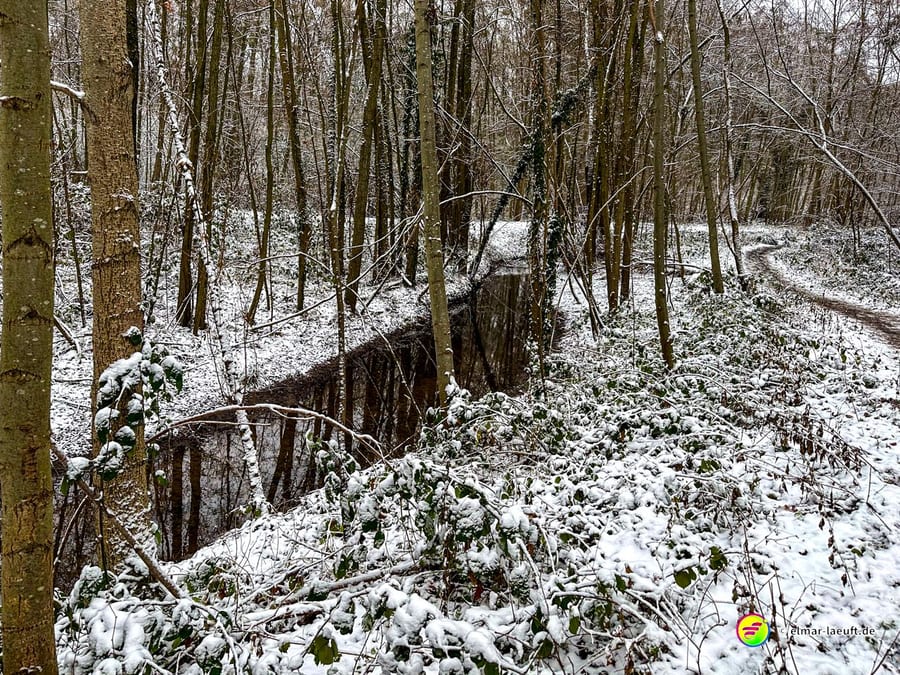 Lauf auf einem schmalen, verschneiten Waldpfad entlang eines ruhigen Baches in einer winterlichen Landschaft bei Heerlen.