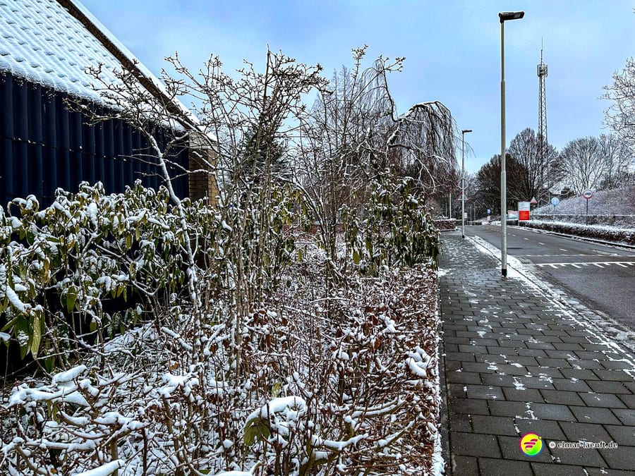 Laufen auf einem schneebedeckten Gehweg entlang einer Straße in einer winterlichen, urbanen Umgebung mit kahlen Bäumen und vereisten Pflanzen.