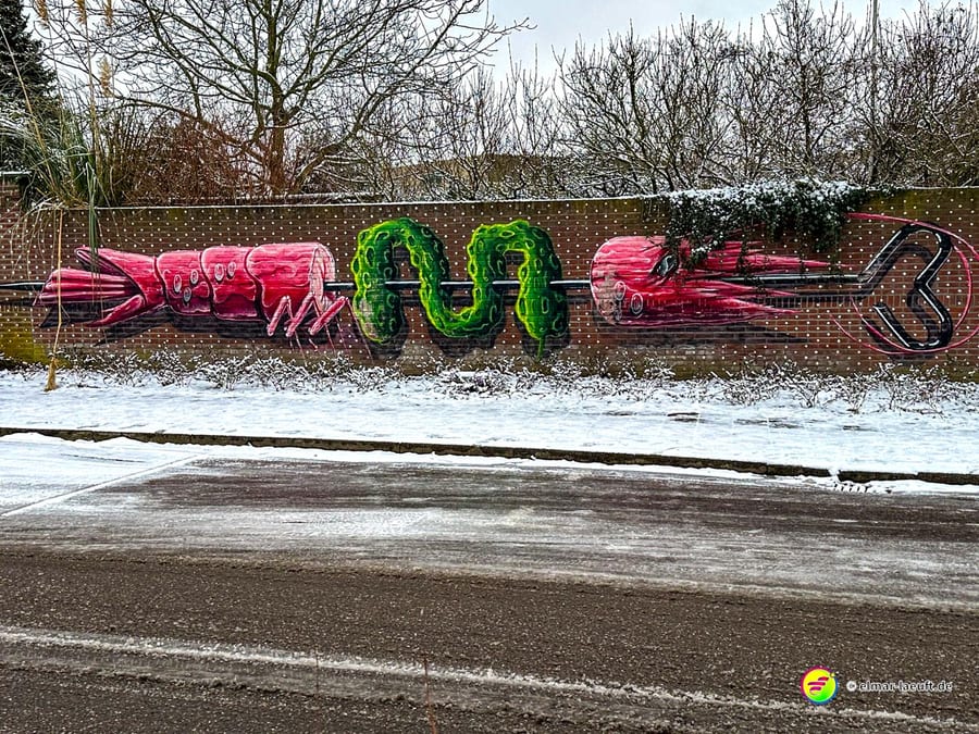 Laufen in Heerlen an einer verschneiten Straße vorbei an einer bunten Graffiti-Wand mit einem Motiv aus einem Spieß mit Krabben und Gurke.
