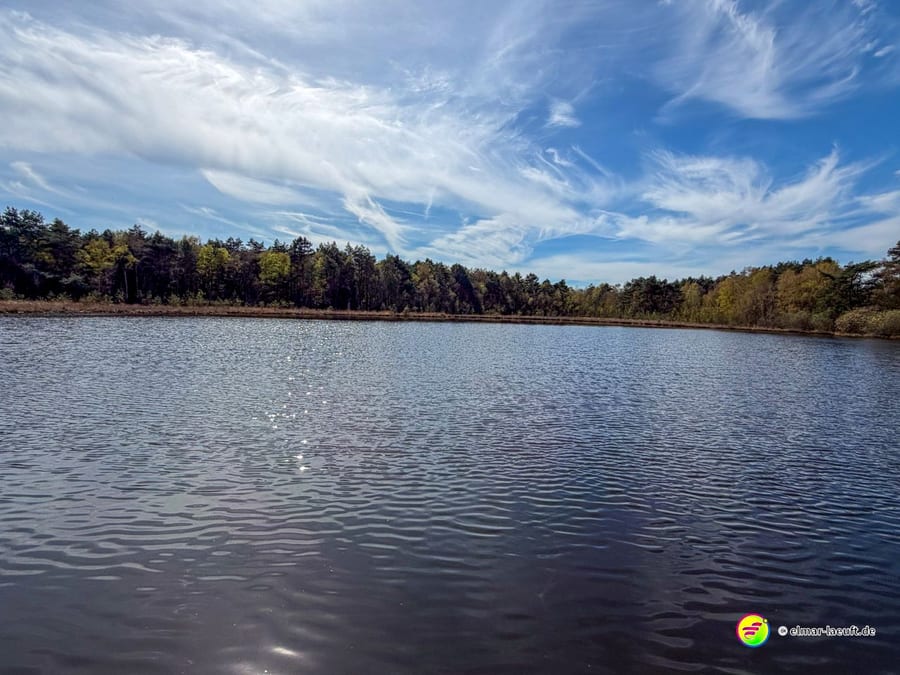 Laufen am ruhigen Seeufer mit Wald im Hintergrund und einem weitläufigen Himmel über Oplagbeek.