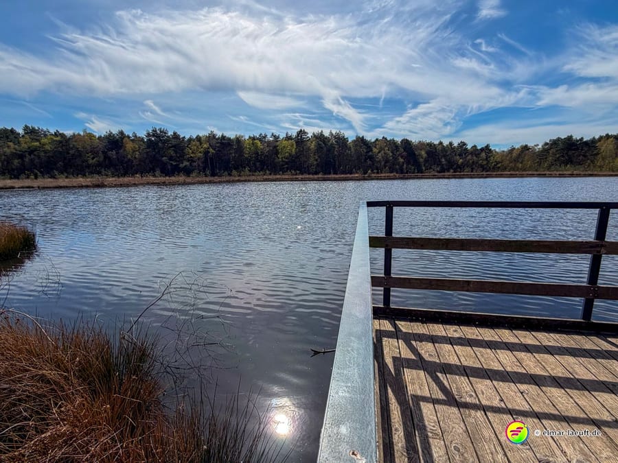 Laufen am ruhigen Seeufer in Oplagbeek mit Blick auf einen Steg und einen bewaldeten Horizont unter einem teils bewölkten Himmel.