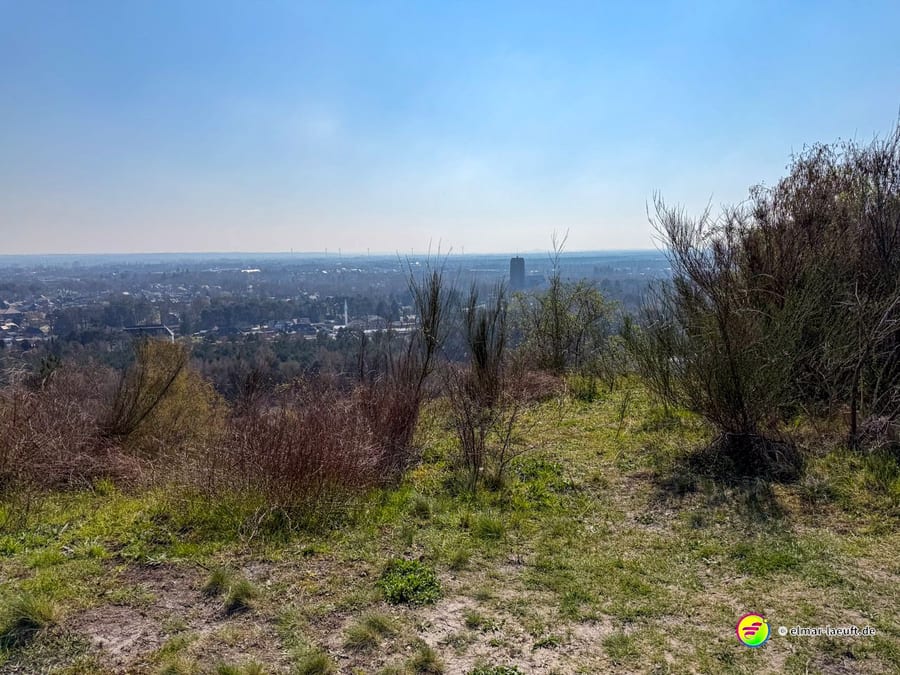 Laufen auf einem offenen, grasigen Pfad mit Blick auf eine Stadt und weiter entfernte Landschaft bei klarem Himmel in Maasmechelen.