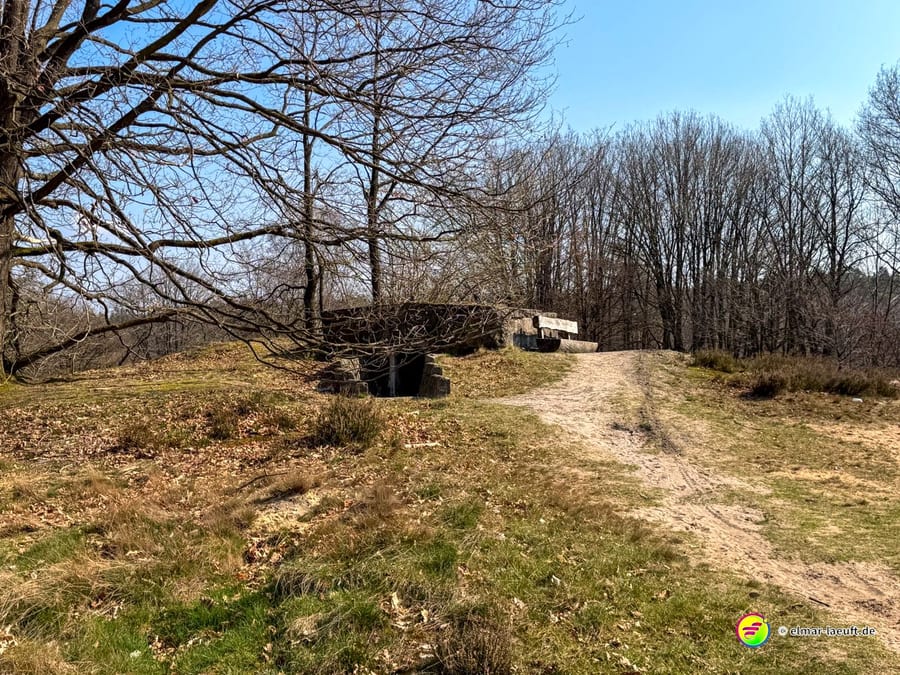 Laufen auf einem sandigen Pfad in Maasmechelen vorbei an einem alten Bunker und kahlen Bäumen im Hintergrund.