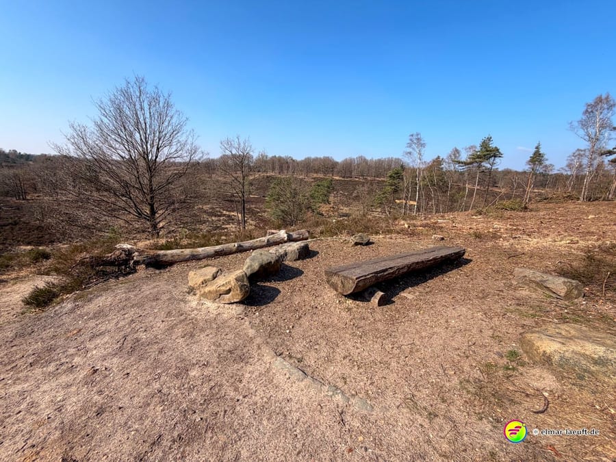 Laufen auf einem trockenen, offenen Pfad in Maasmechelen mit rustikalen Sitzgelegenheiten aus Baumstämmen und kahlen Bäumen im Hintergrund.