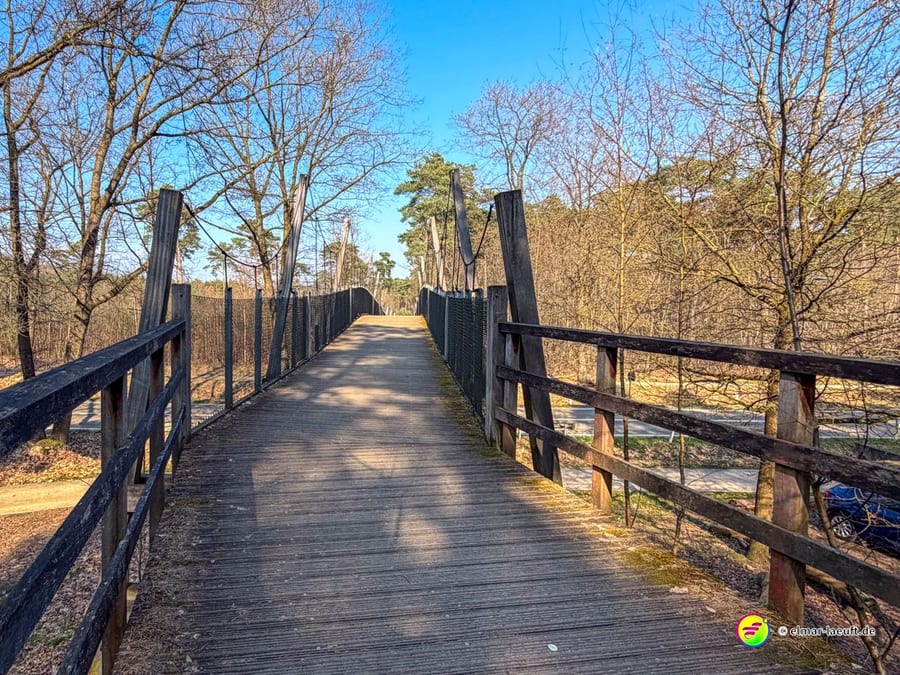 Lauf über eine hölzerne Fußgängerbrücke in einer herbstlichen Waldlandschaft bei klarem Himmel in Maasmechelen.